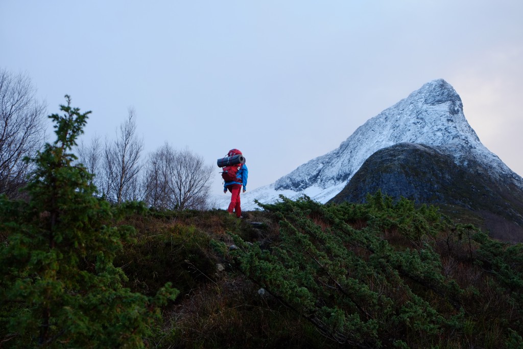 Ikoniske liadalsnipa er inne i en brytningstid