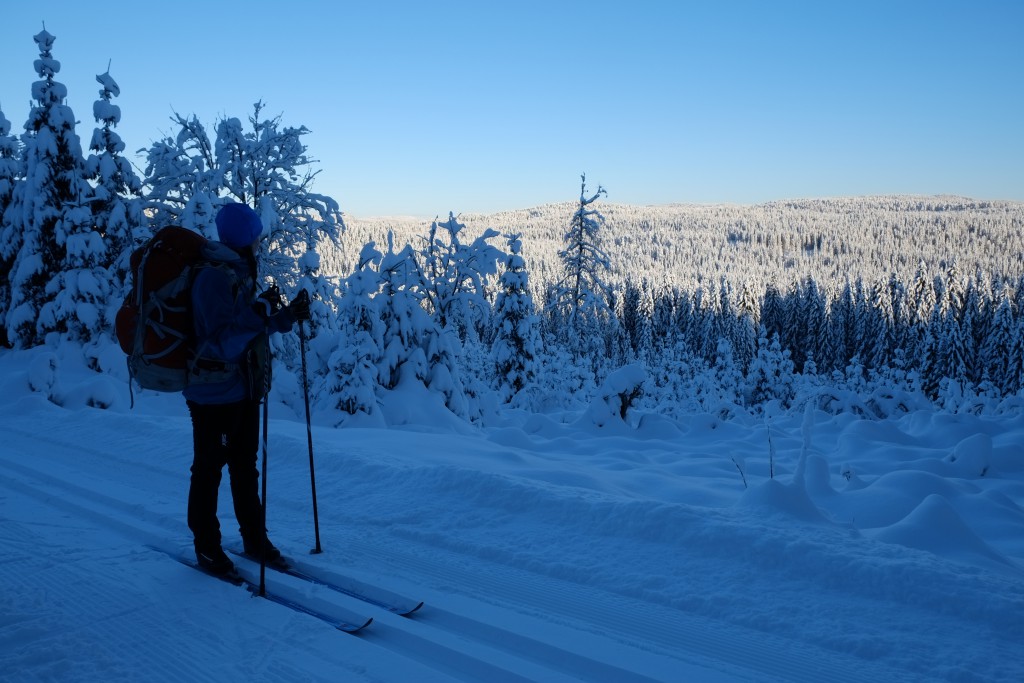 Det er 20 minusgrader og postkortstemning i Nordmarka.