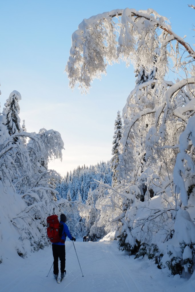 Vinter i Nordmarka