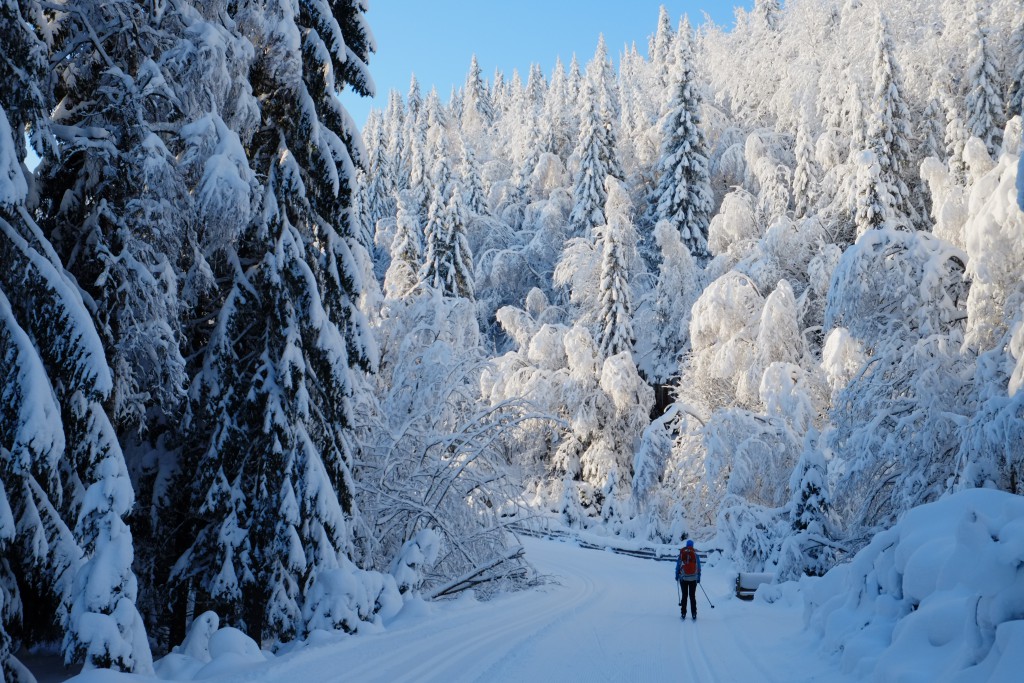 Nordmarka er både vilt og vakkert i januar