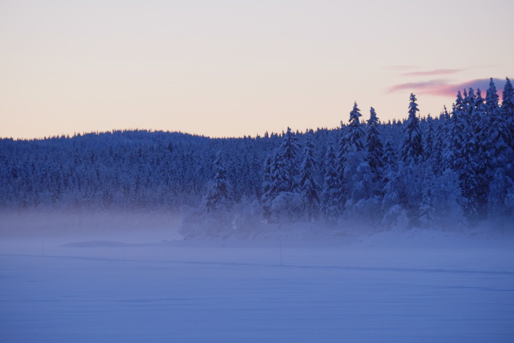 Kveldsdis og øde natur