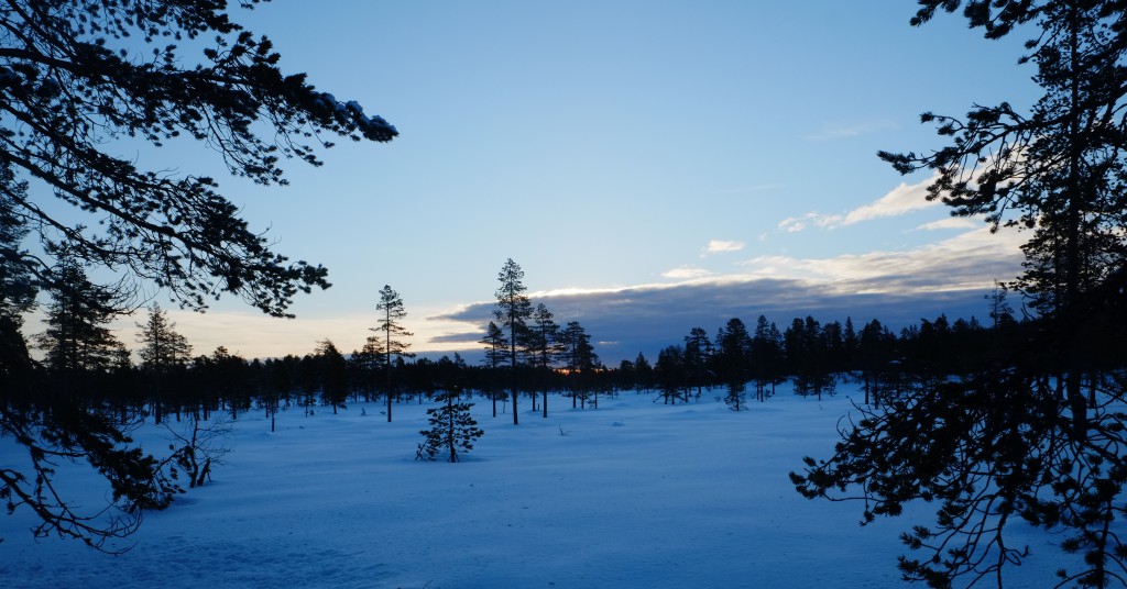 Snille sletter ender i høyfjell og flott utsikt ved Vikerfjell