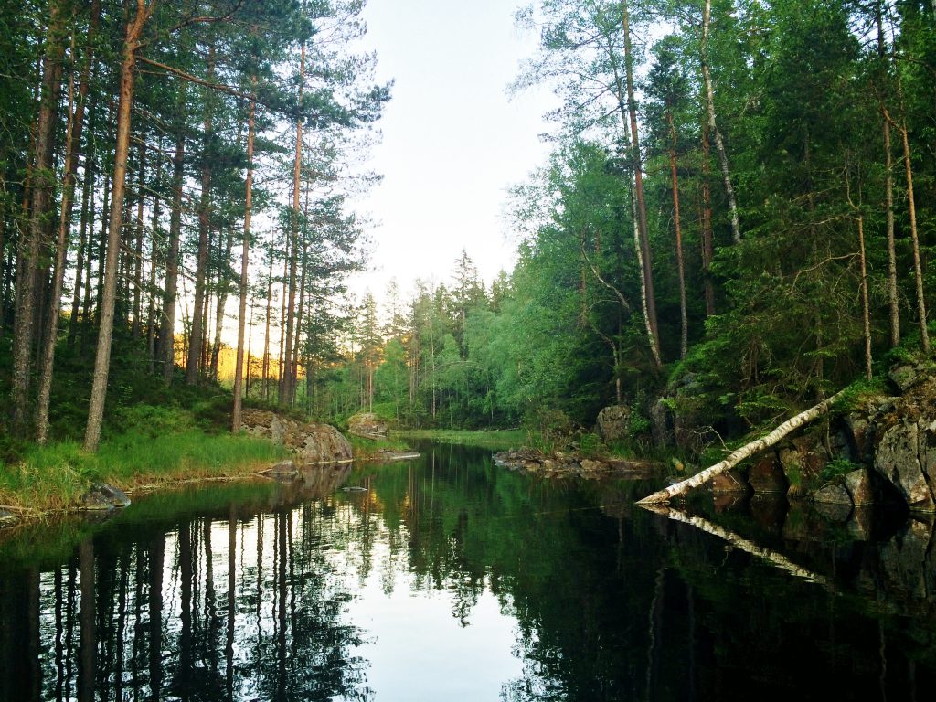 Å padle inn til Luttjern er som å padle inn i en annen verden