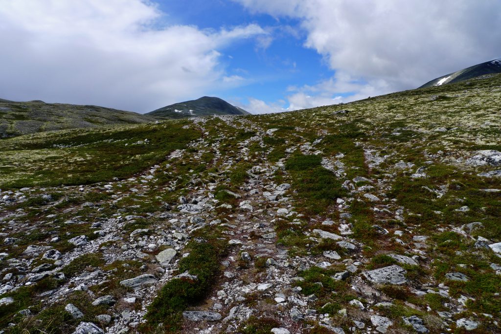 I områder med stor ferdsel, som her på en T-merket rute i Rondane, er spor etter mennesker svært tydelig.