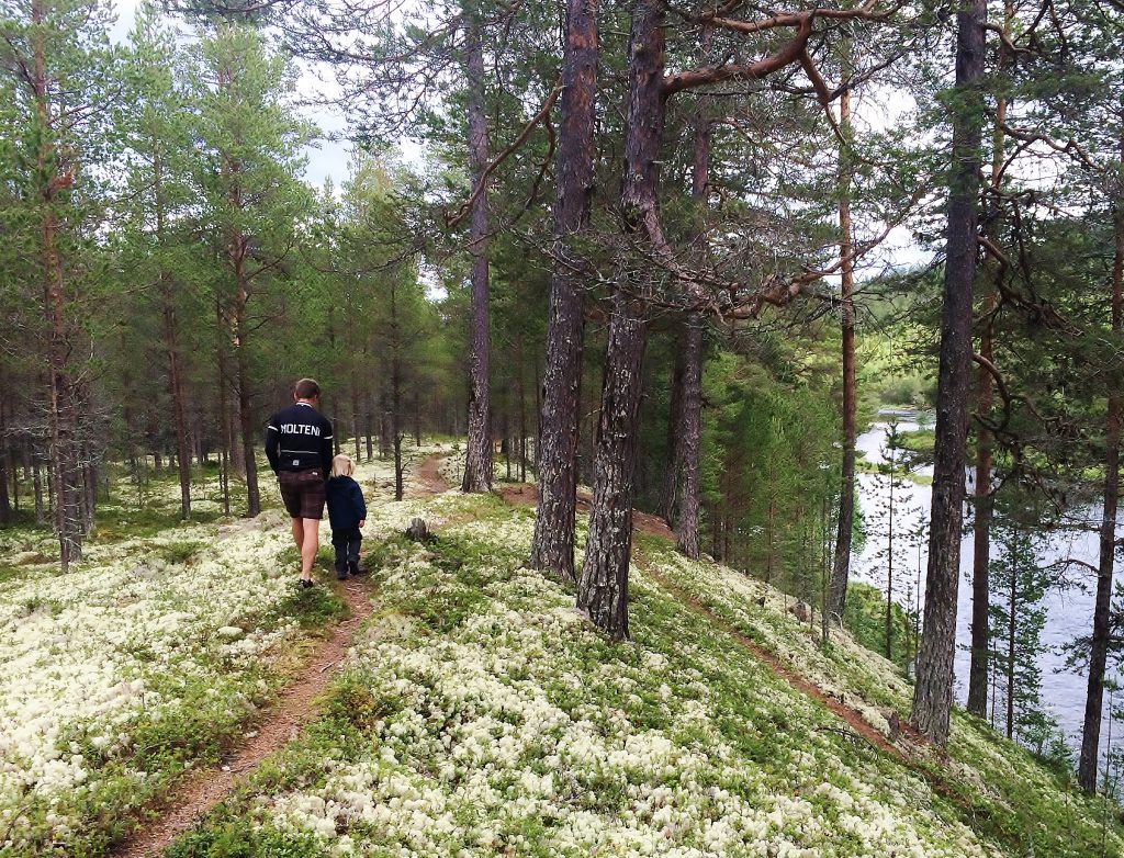 Terrenget i området er lettgått og barnevennlig