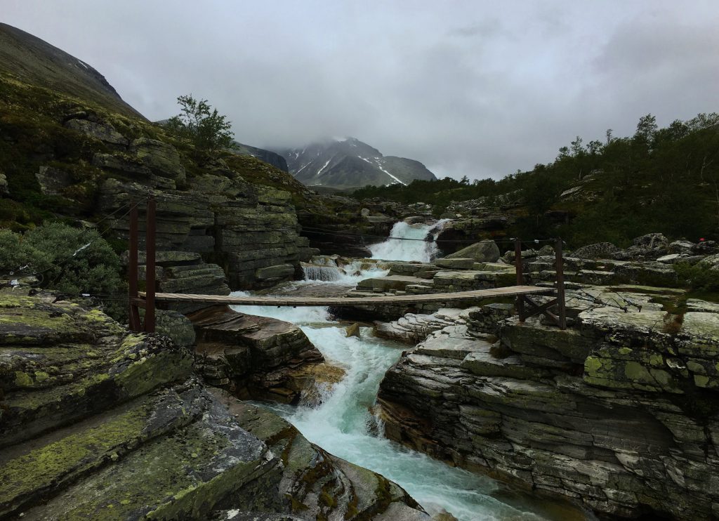 Et fint tips er å ha en av de fine broene i nærheten av Bjørnhollia som turmål