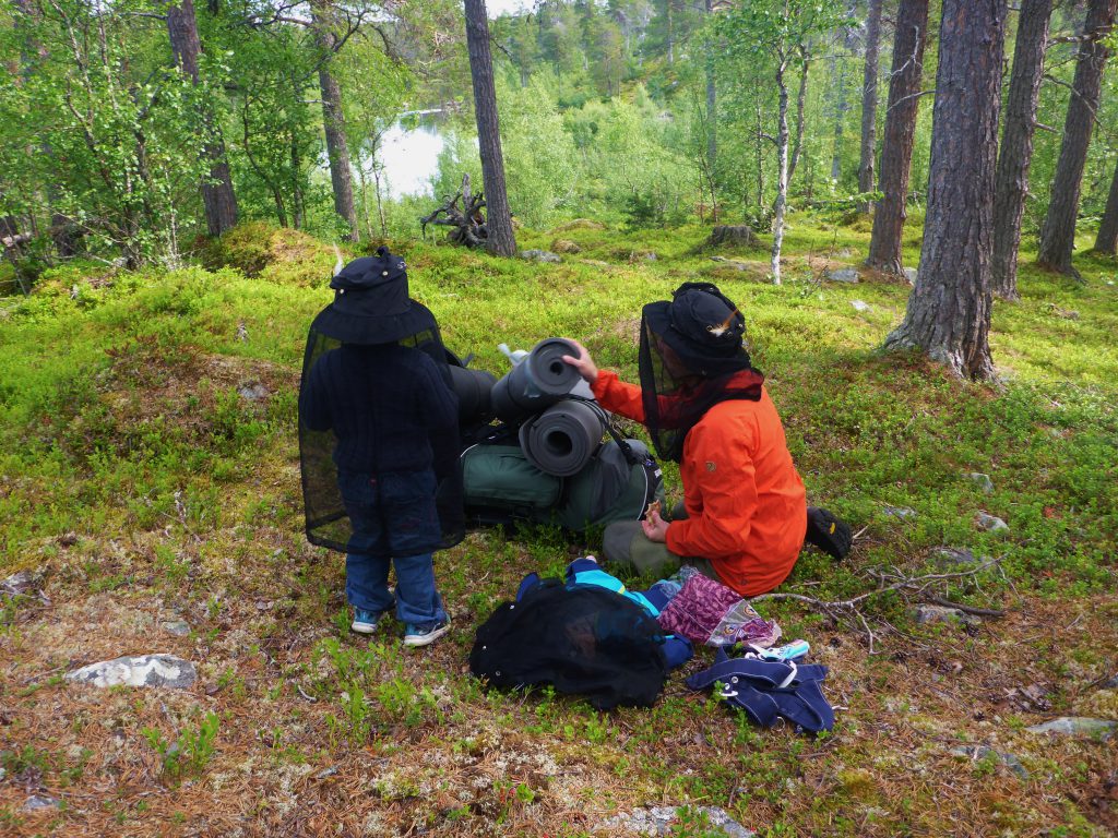 Av og til er det mye mygg. Da er det lurt å holde seg inne i myggnettet.