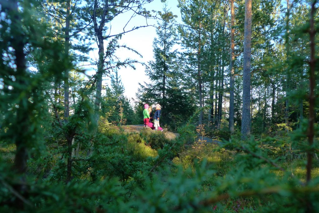 Idyll i Kjekstadmarka